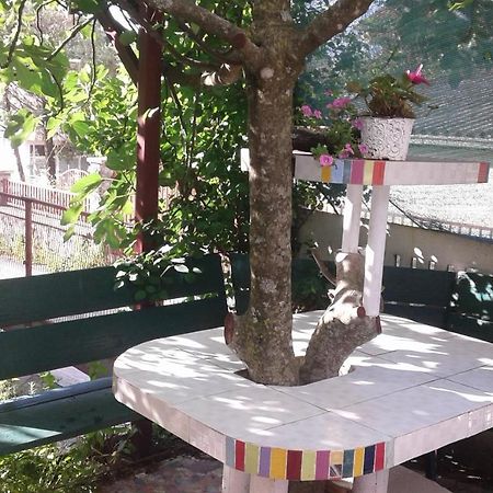 Eleni Apartman Tivat Kültér fotó