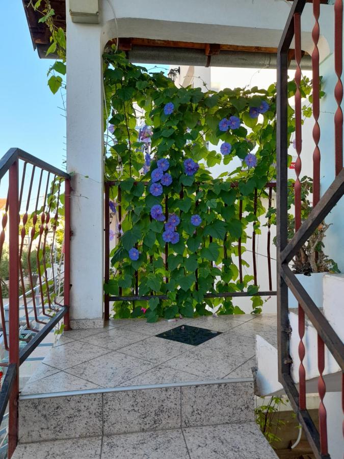 Eleni Apartman Tivat Kültér fotó
