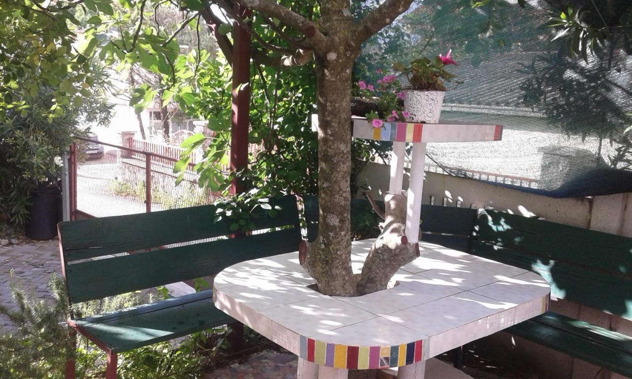 Eleni Apartman Tivat Kültér fotó