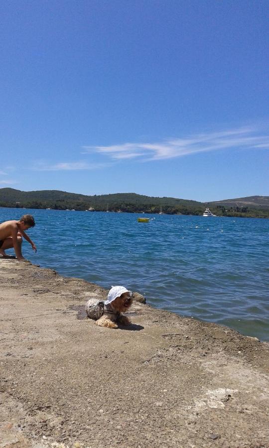 Eleni Apartman Tivat Kültér fotó